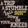 Seasick Blues-A Trip A Stumble A Fall Down On Your Knees