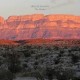 Willie Nelson-Border