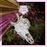 Mari Boine-Alva