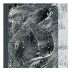 Orcas-How To Color a Thousand Mistakes