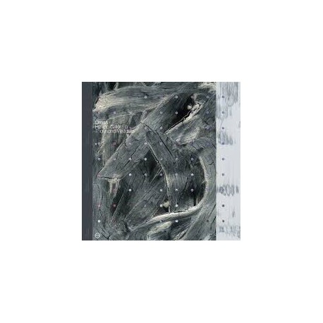 Orcas-How To Color a Thousand Mistakes