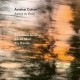 Avishai Cohen-Ashes To Gold
