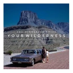 Pineapple Thief-Your Wilderness