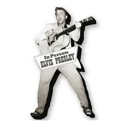 Elvis Presley-Tupelo Funky Chunky Magnet (Magnete/Calamita)
