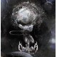 Obscura-A Sonication