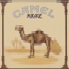 Camel-Mirage