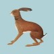 Vashti Bunyan-Lookaftering