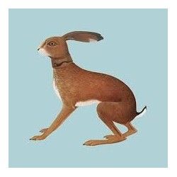 Vashti Bunyan-Lookaftering