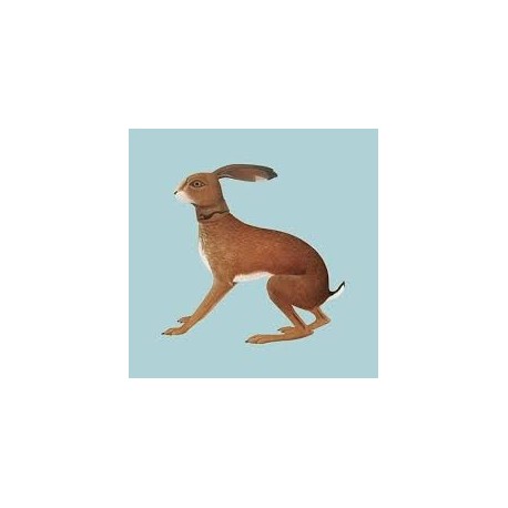 Vashti Bunyan-Lookaftering
