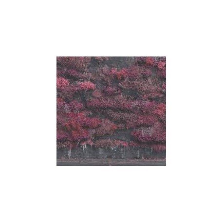 Sleep Token-Even In Arcadia