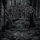 Wolves In The Throne Room-2005 Demo
