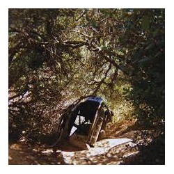 Ty Segall-Possession