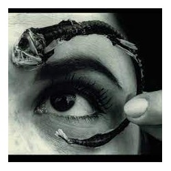 Mr. Bungle-Disco Volante