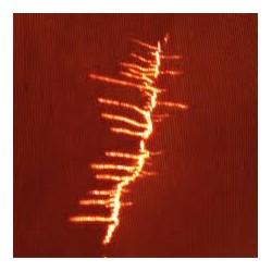 Fire Featuring Adrian Sherwood-Fire