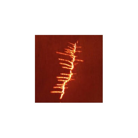 Fire Featuring Adrian Sherwood-Fire