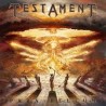 Testament-Para Bellum