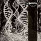 Coroner-Dissonance Theory