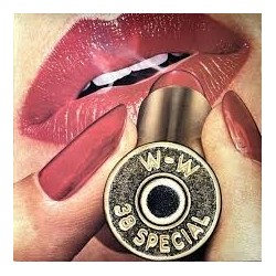 38 Special-Rockin Into The Night