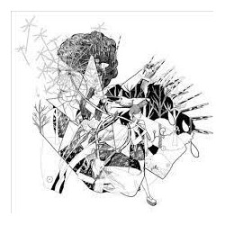 Jesca Hoop-Selective Memory