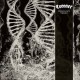 Coroner-Dissonance Theory