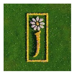 James-Nothing But Love (The Definitive Best Of)