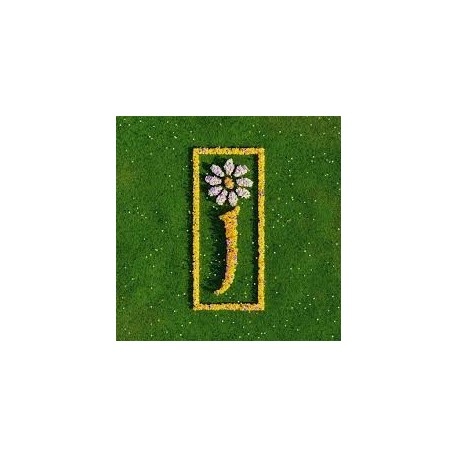 James-Nothing But Love (The Definitive Best Of)