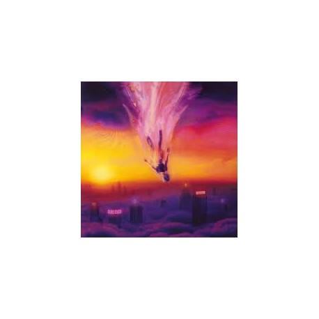 Sumo Cyco-Initiation