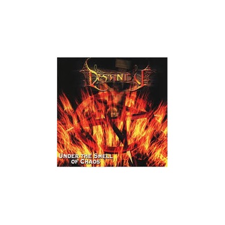 Destinity-Under The Smell Of Chaos