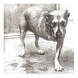 Alice In Chains-Alice In Chains