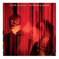 Peter Gabriel-In The Big Room (Live At The Real World Studios 2003)