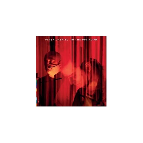 Peter Gabriel-In The Big Room (Live At The Real World Studios 2003)