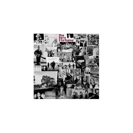 Wave Pictures-Gained/Lost