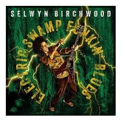 Selwyn Birchwood-Electric Swamp Funkin' Blues