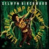 Selwyn Birchwood-Electric Swamp Funkin' Blues
