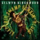 Selwyn Birchwood-Electric Swamp Funkin' Blues