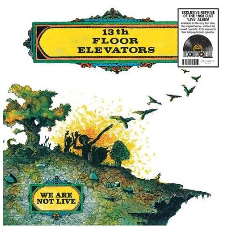 13th Floor Elevator-We Are Not Live