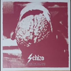 Schizo-Before The Collapse