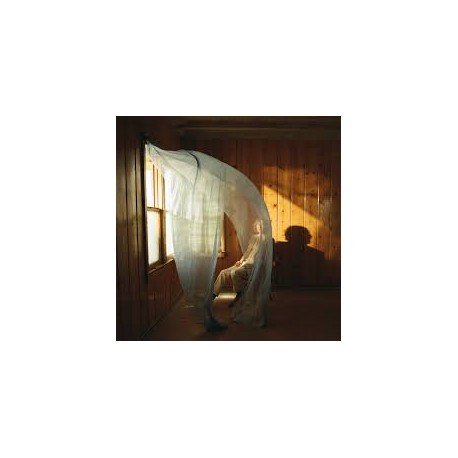 Beck-Ride Lonesome