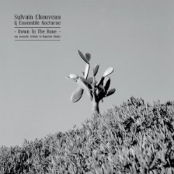 Sylvain Chauveau & Ensemble Nocturne - Down To The Bone (An Acoustic Tribute To Depeche Mode)