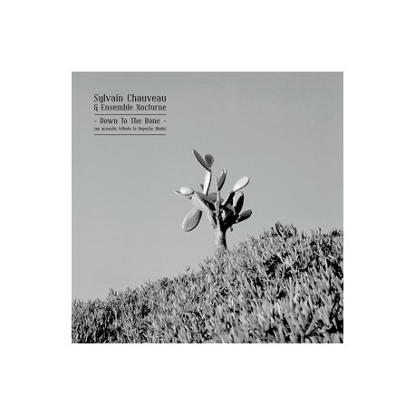 Sylvain Chauveau & Ensemble Nocturne - Down To The Bone (An Acoustic Tribute To Depeche Mode)