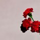 John Legend-Love In The Future