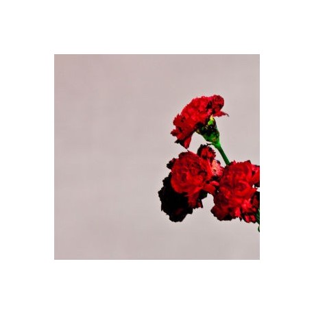 John Legend-Love In The Future
